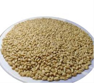 VL832 Wheat for Bakers